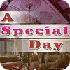 A Special Day gioco