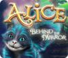 Alice: Behind the Mirror gioco