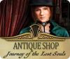 Antique Shop: Journey of the Lost Souls gioco