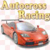 Autocross Racing gioco