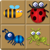 Bug Box gioco