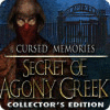 Cursed Memories: The Secret of Agony Creek Collector's Edition gioco