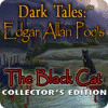 Dark Tales: Edgar Allan Poe's The Black Cat Collector's Edition gioco