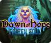 Dawn of Hope: Frozen Soul gioco