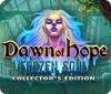 Dawn of Hope: The Frozen Soul Collector's Edition gioco
