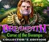 Dreampath: Curse of the Swamps Collector's Edition gioco
