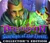 Dreampath: Guardian of the Forest Collector's Edition gioco