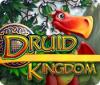 Druid Kingdom gioco