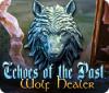 Echoes of the Past: Wolf Healer gioco
