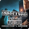 Enigmatis: The Ghosts of Maple Creek Collector's Edition gioco