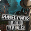 Enigmatis: I fantasmi di Maple Creek gioco