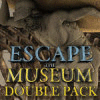 Escape the Museum Double Pack gioco