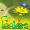 Feelers gioco