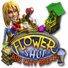 Flower Shop: Big City Break gioco
