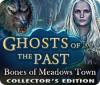 Ghosts of the Past: Bones of Meadows Town Collector's Edition gioco