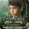 Grim Tales: I desideri Edizione Speciale gioco