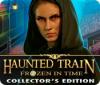 Haunted Train: Frozen in Time Collector's Edition gioco