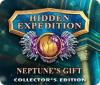 Hidden Expedition: Neptune's Gift Collector's Edition gioco