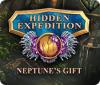 Hidden Expedition: Neptune's Gift gioco