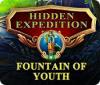 Hidden Expedition: The Fountain of Youth gioco