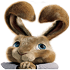 Hop: Coniglio di Pasqua gioco