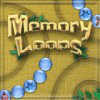 Memory Loops gioco