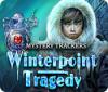 Mystery Trackers: Winterpoint Tragedy gioco
