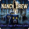 Nancy Drew: Ghost Dogs of Moon Lake gioco