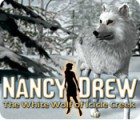 Nancy Drew: The White Wolf of Icicle Creek gioco