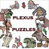 Plexus Puzzles gioco