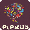Plexus Puzzles: Rebuild the Earth gioco