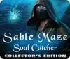 Sable Maze: Soul Catcher Collector's Edition gioco