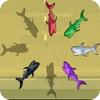 Shark Hunter gioco