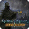 Spirits of Mystery: Amber Maiden Collector's Edition gioco