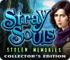 Stray Souls: Stolen Memories Collector's Edition gioco