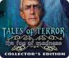 Tales of Terror: The Fog of Madness Collector's Edition gioco