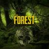 The Forest gioco