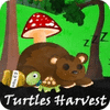 Turtles Harvest gioco