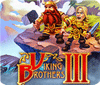 Viking Brothers 3. Collector's Edition gioco