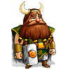 Viking Brothers gioco