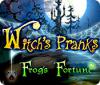 Witch's Pranks: Frog's Fortune gioco