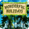 Wonderful Holidays gioco