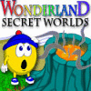 Wonderland Secret Worlds gioco