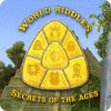World Riddles: Secrets of the Ages gioco